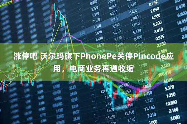 涨停吧 沃尔玛旗下PhonePe关停Pincode应用，电商业务再遇收缩