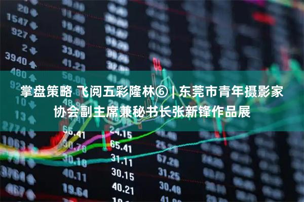 掌盘策略 飞阅五彩隆林⑥ | 东莞市青年摄影家协会副主席兼秘书长张新锋作品展